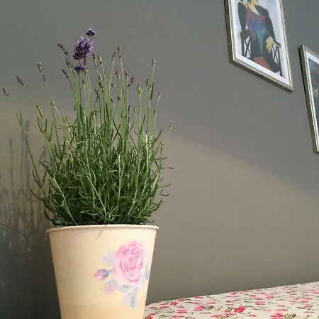 Lejlighed Neda Split