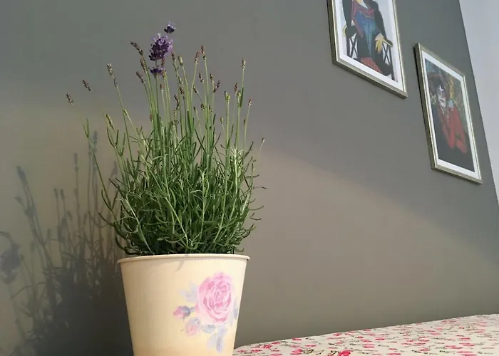 Appartement Neda Split